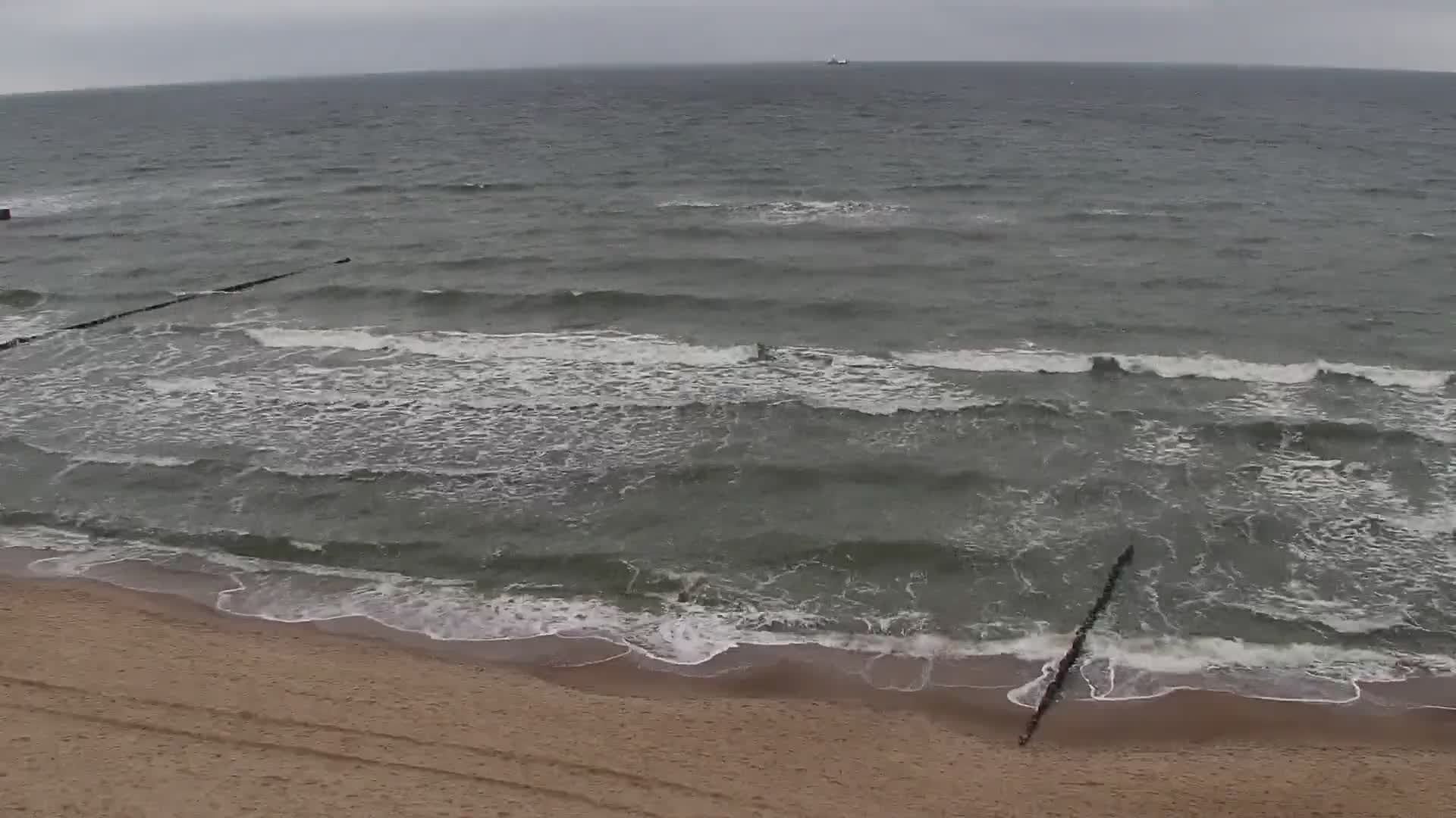 REWAL - widok na plażę - Včera