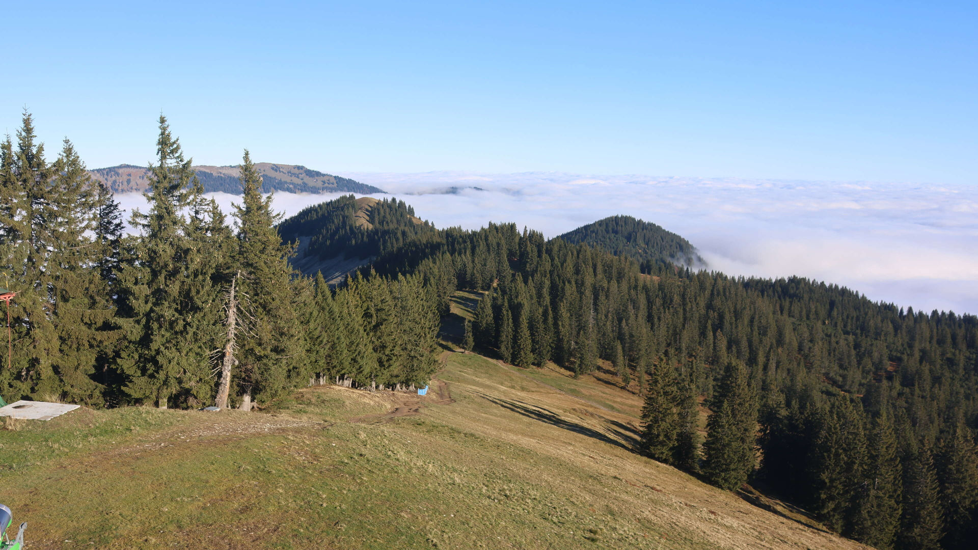 Weiherkopf Bergstation - Webcams