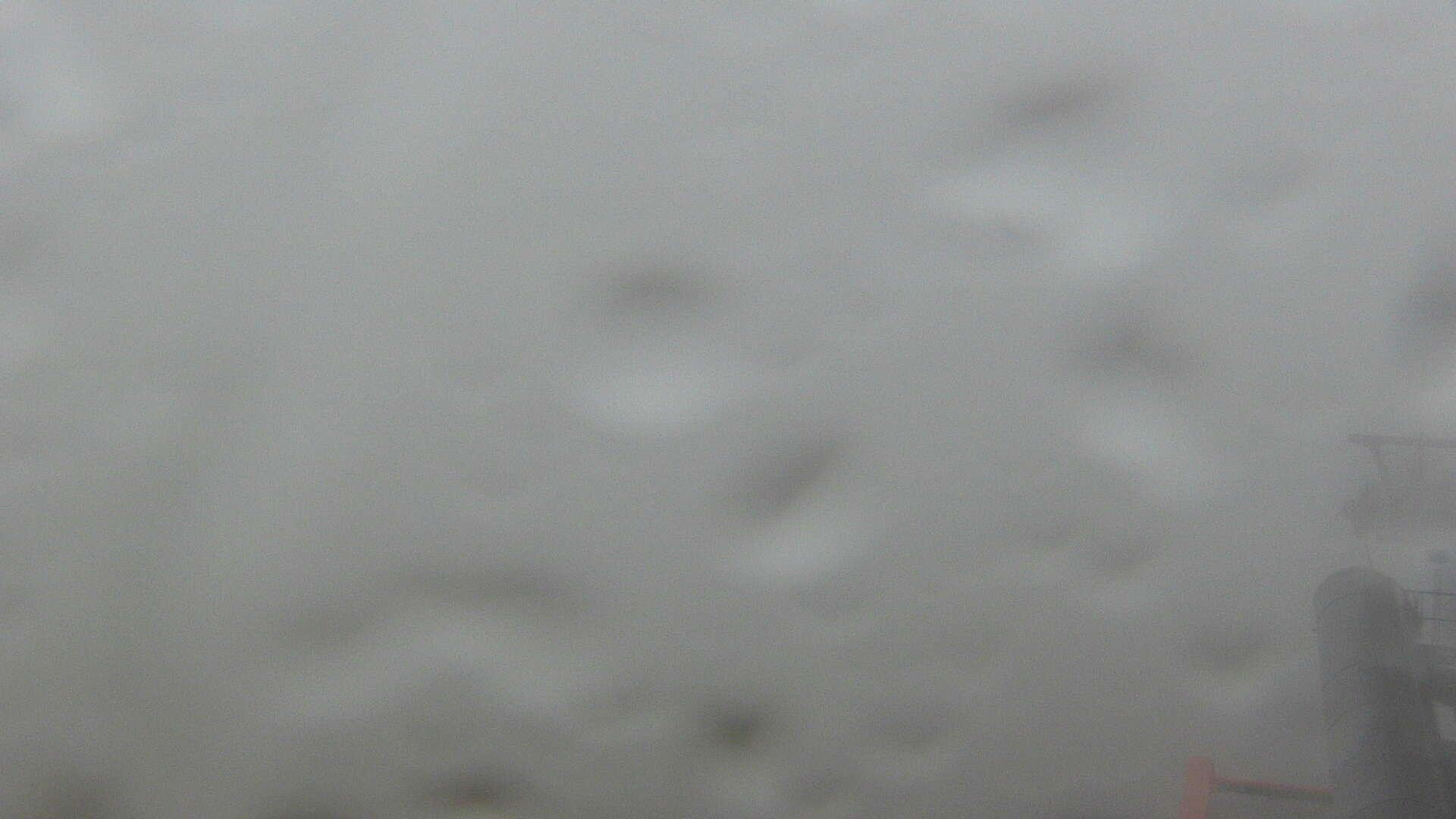 Hoffmanky - Webcams
