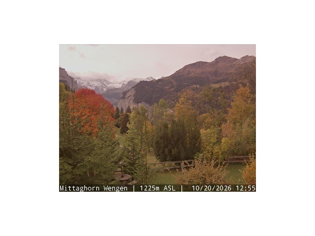 Wengen - Mittaghorn - 어제