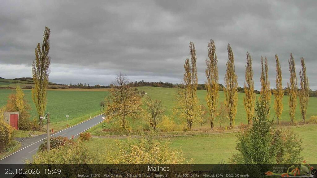 Malinec