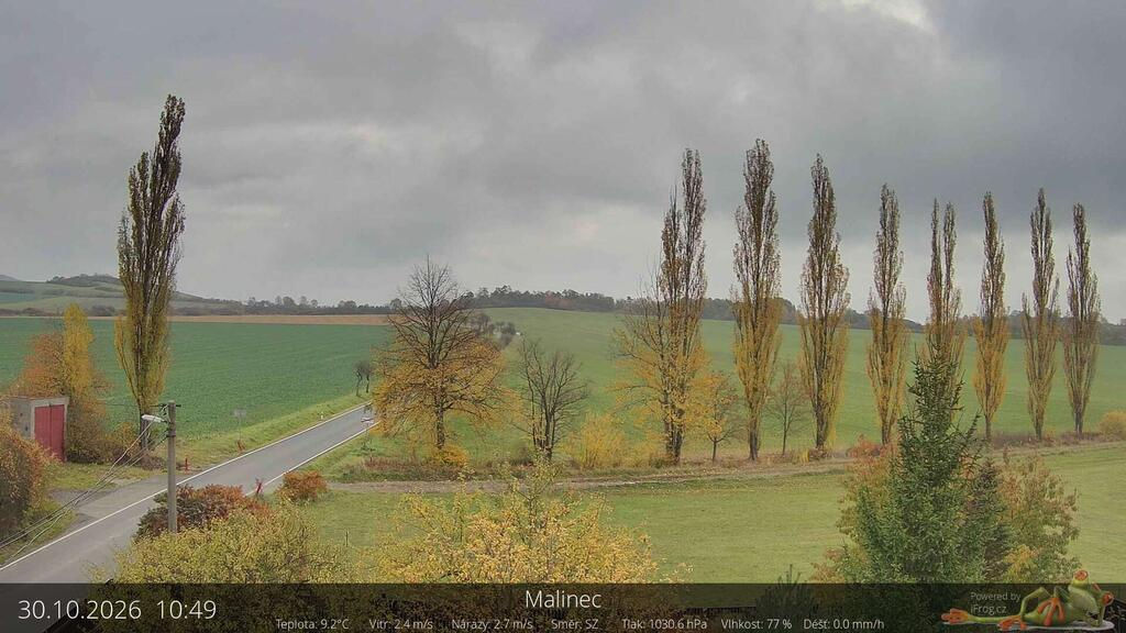 Malinec - Yesterday