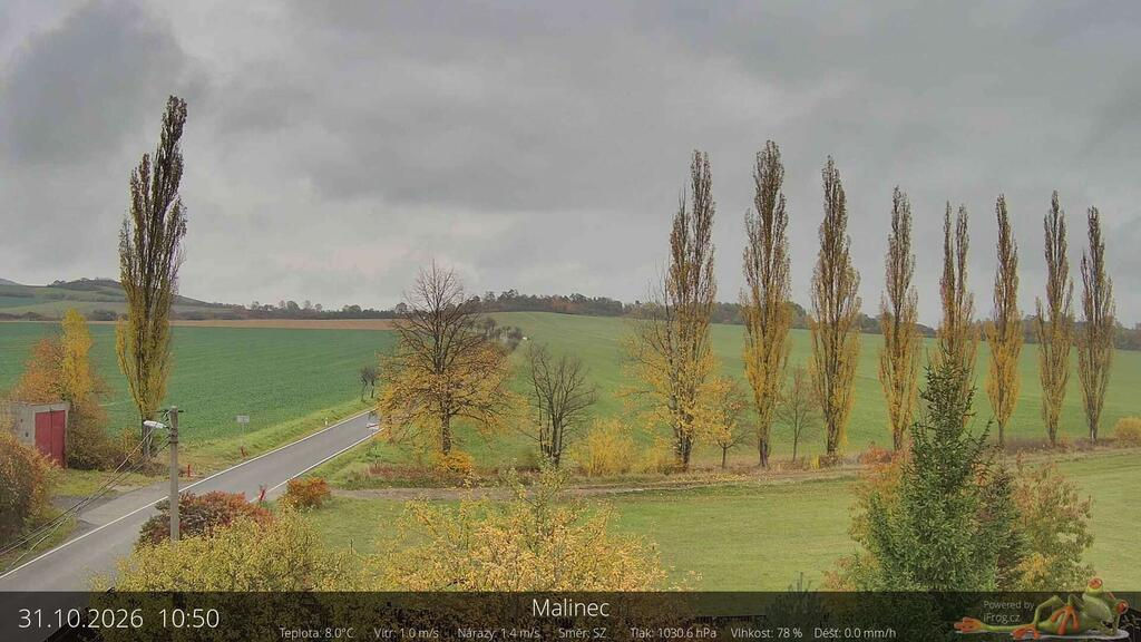 Malinec - Webcams
