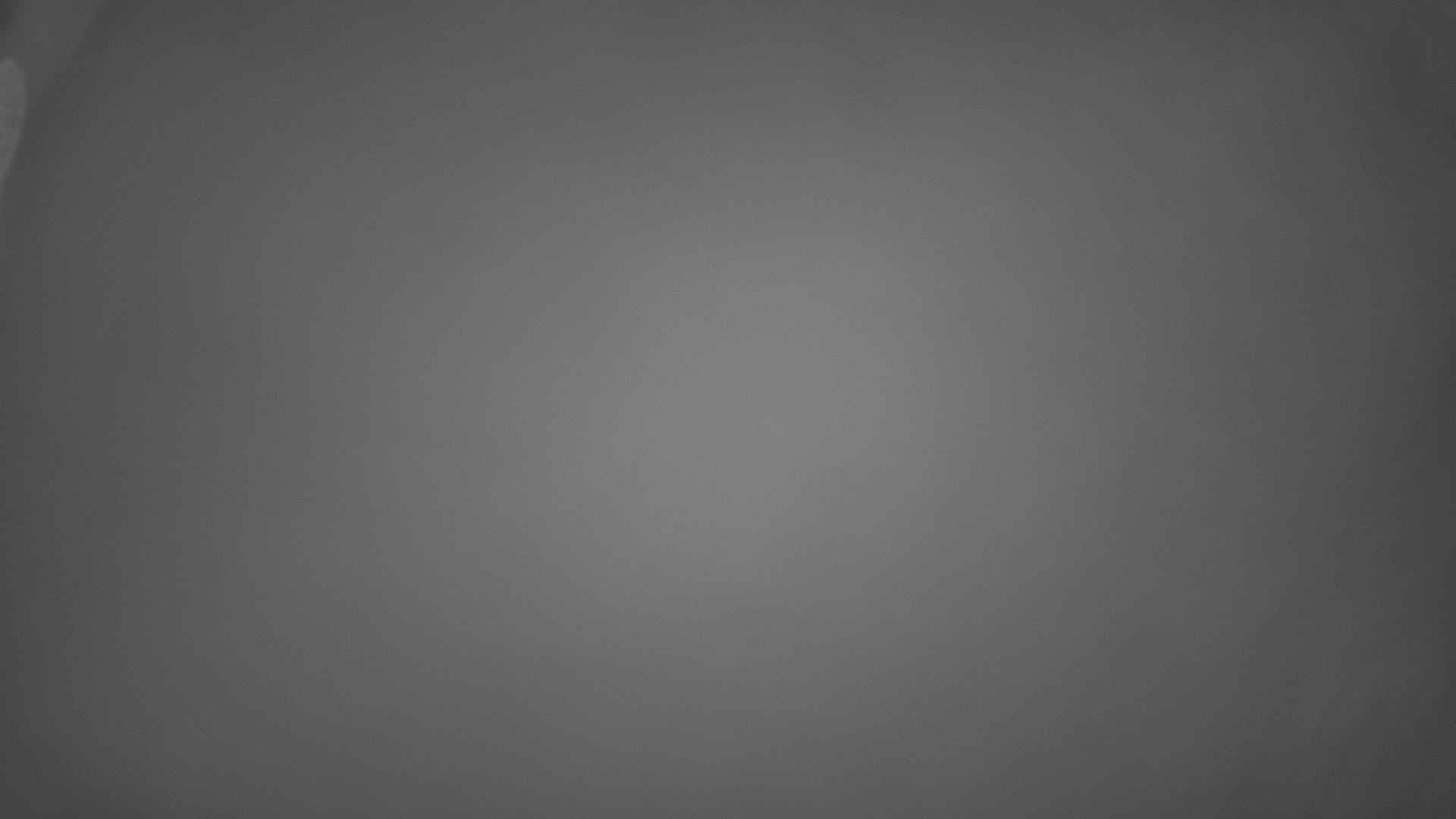 Zvičina - Webcams