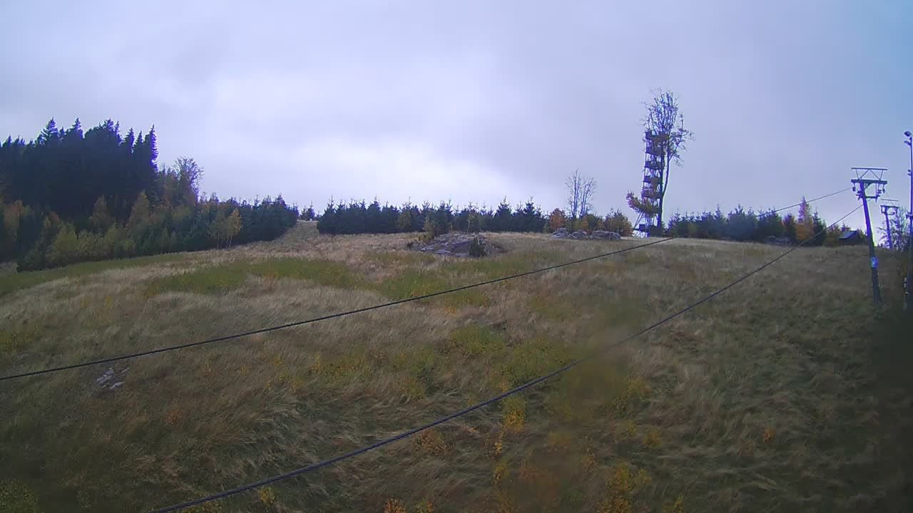 Olešnice v Orlických horách - SKI areál Hartman - Webcams