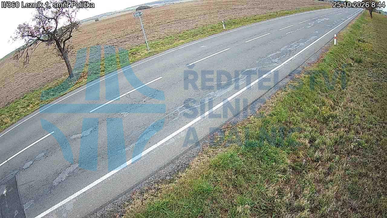 Lezník