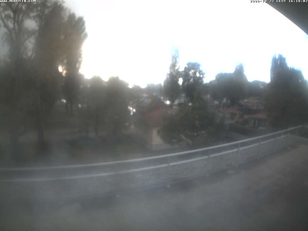 Altenrhein - Kamera web