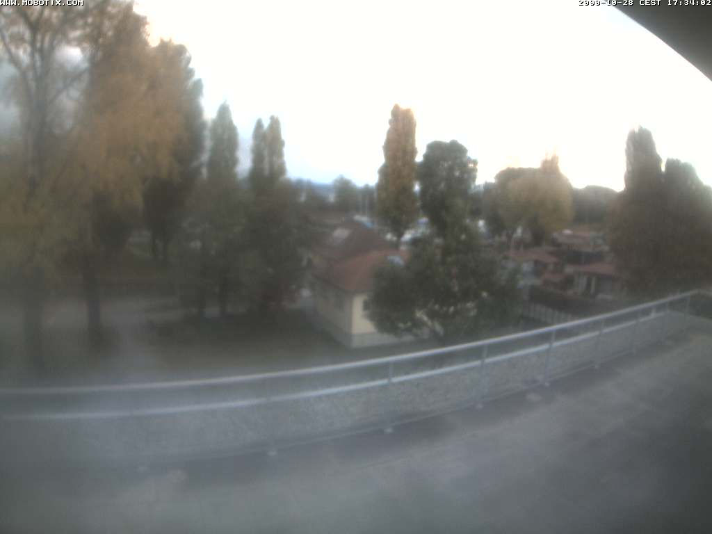 Altenrhein - Yesterday
