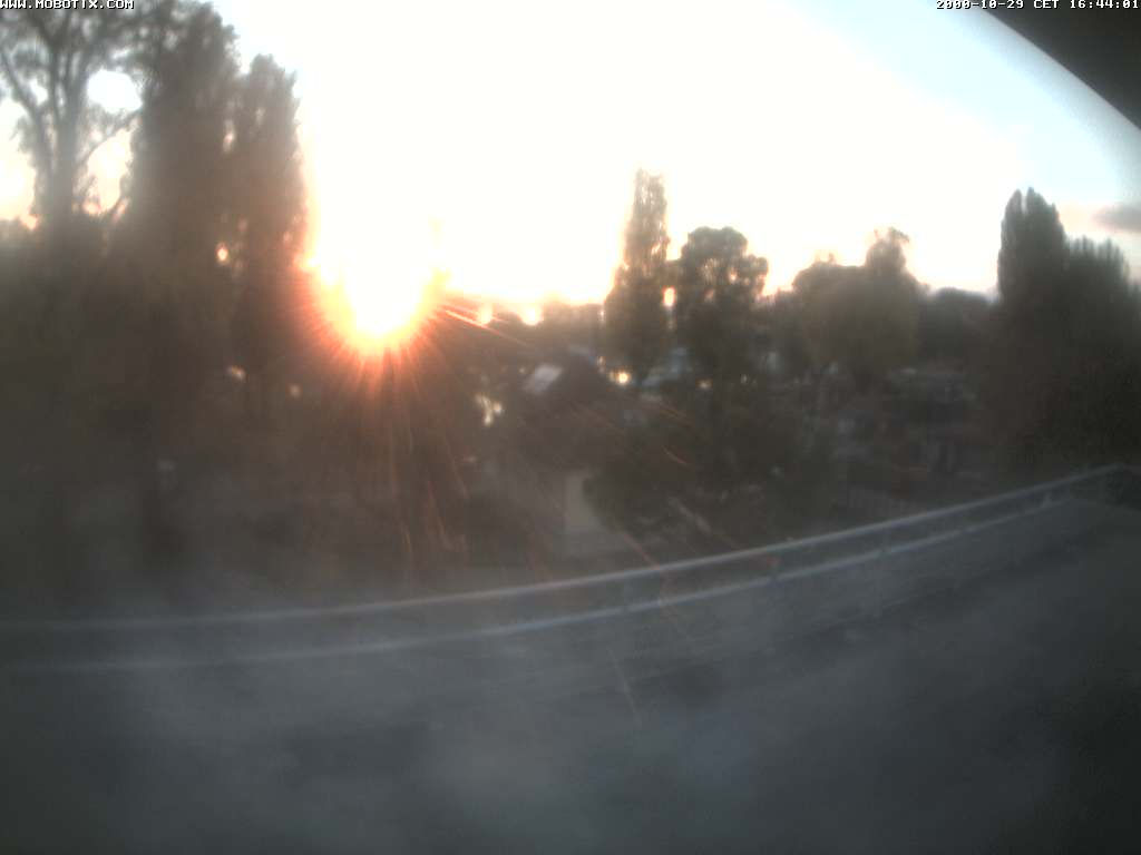 Altenrhein - Webcams