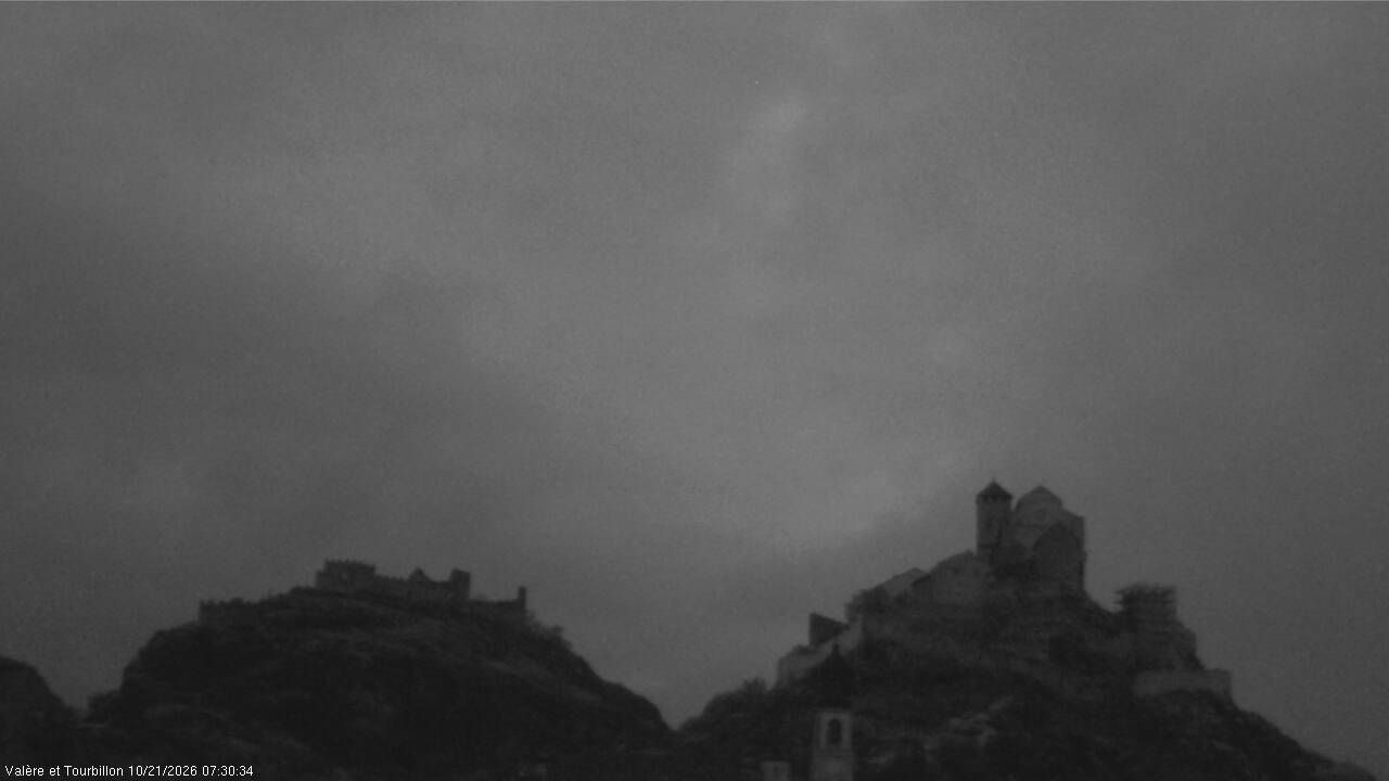 Sion - 웹카메라
