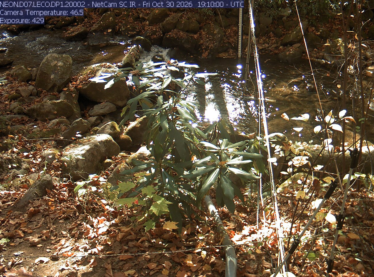 NEON Site - D07 (Appalachians & Cumberland Plateau) LeConte Creek, Tennessee - aquatic/stream-gauge camera - Yesterday