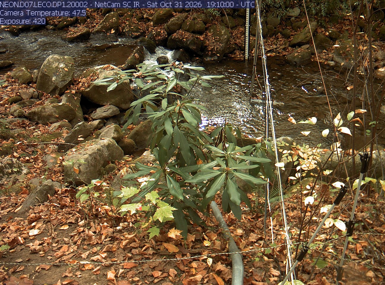 NEON Site - D07 (Appalachians & Cumberland Plateau) LeConte Creek, Tennessee - aquatic/stream-gauge camera - Webcams