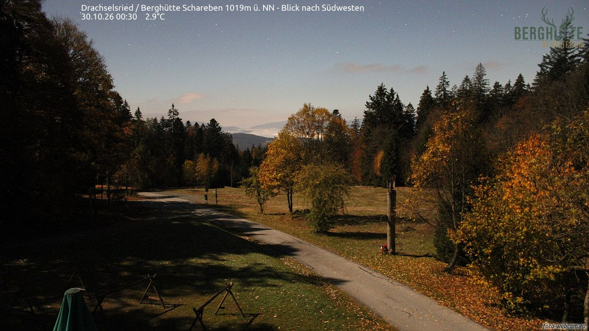 Schareben - Yesterday