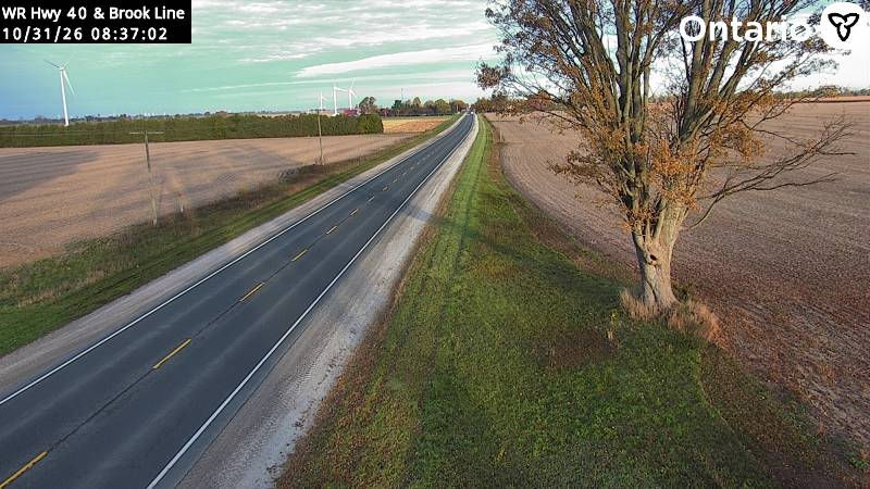 Highway 40 near Brook Line - Webcams