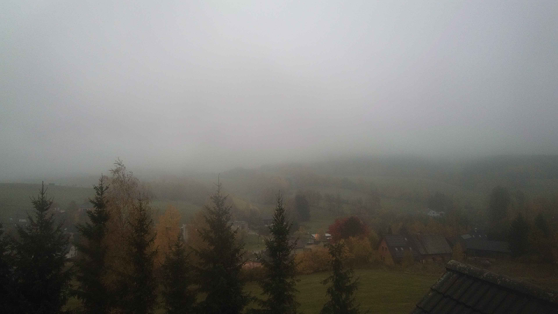 Bernartice - Webcams