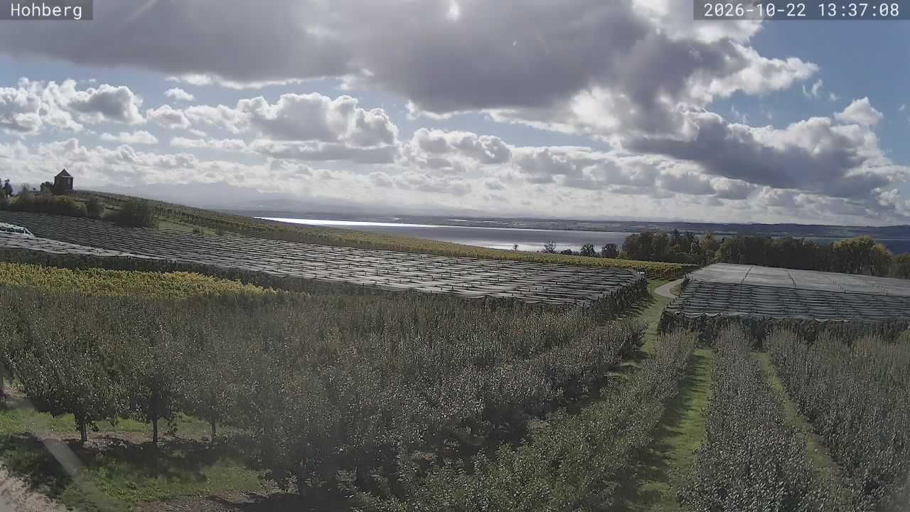 Hohberg - Kemarin