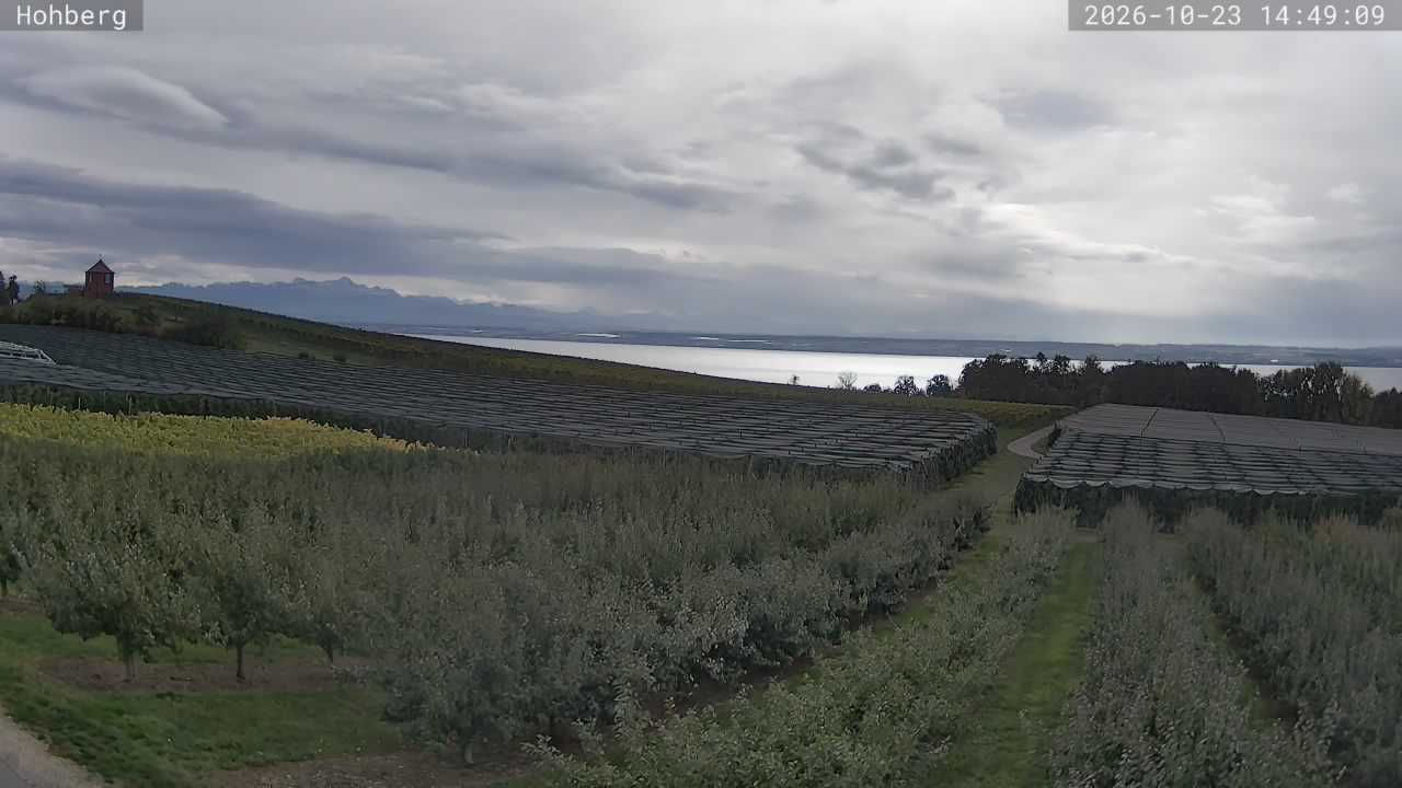 Hohberg - Kamera web