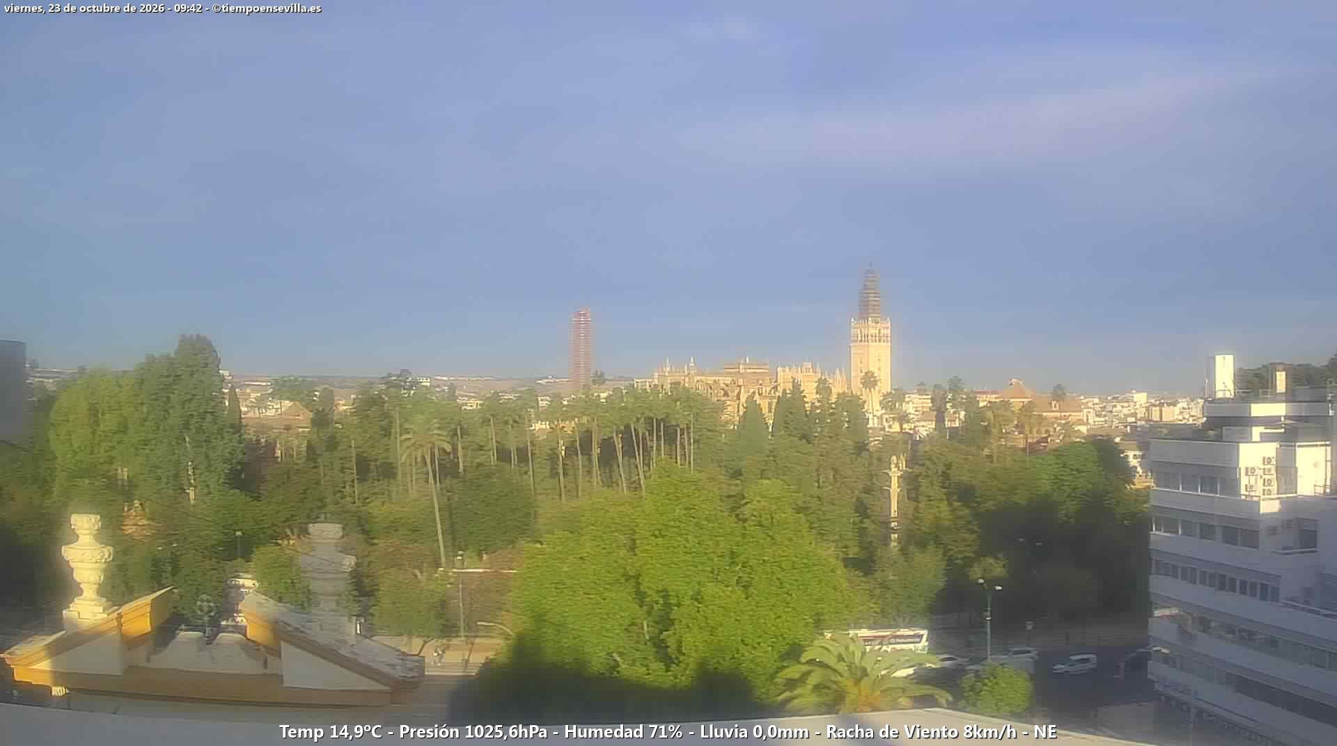 Sevilla-San Bernardo - Yesterday