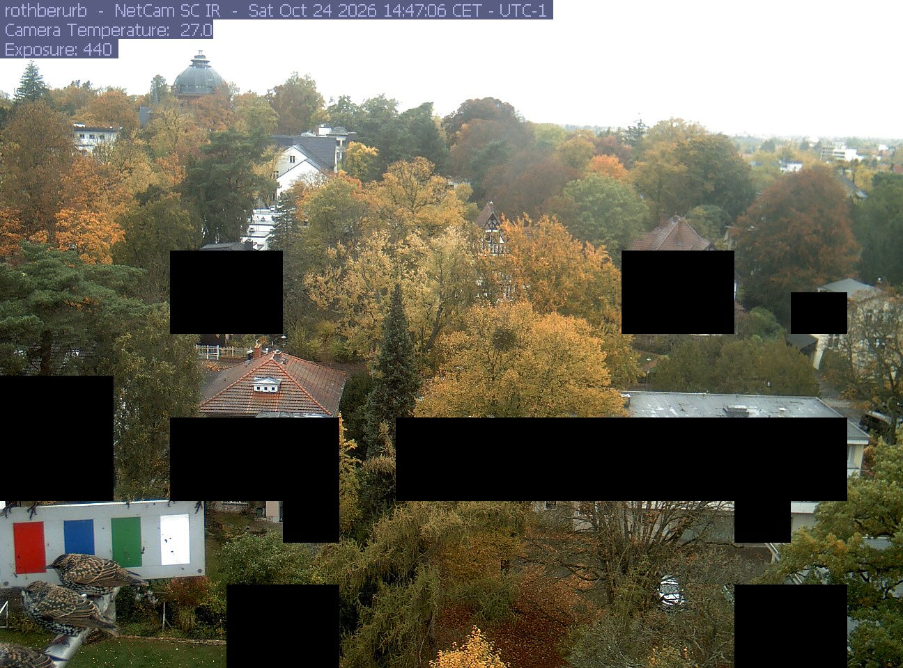 Rothenburg Str, Urban Vegetation, Berlin. - Webkamery
