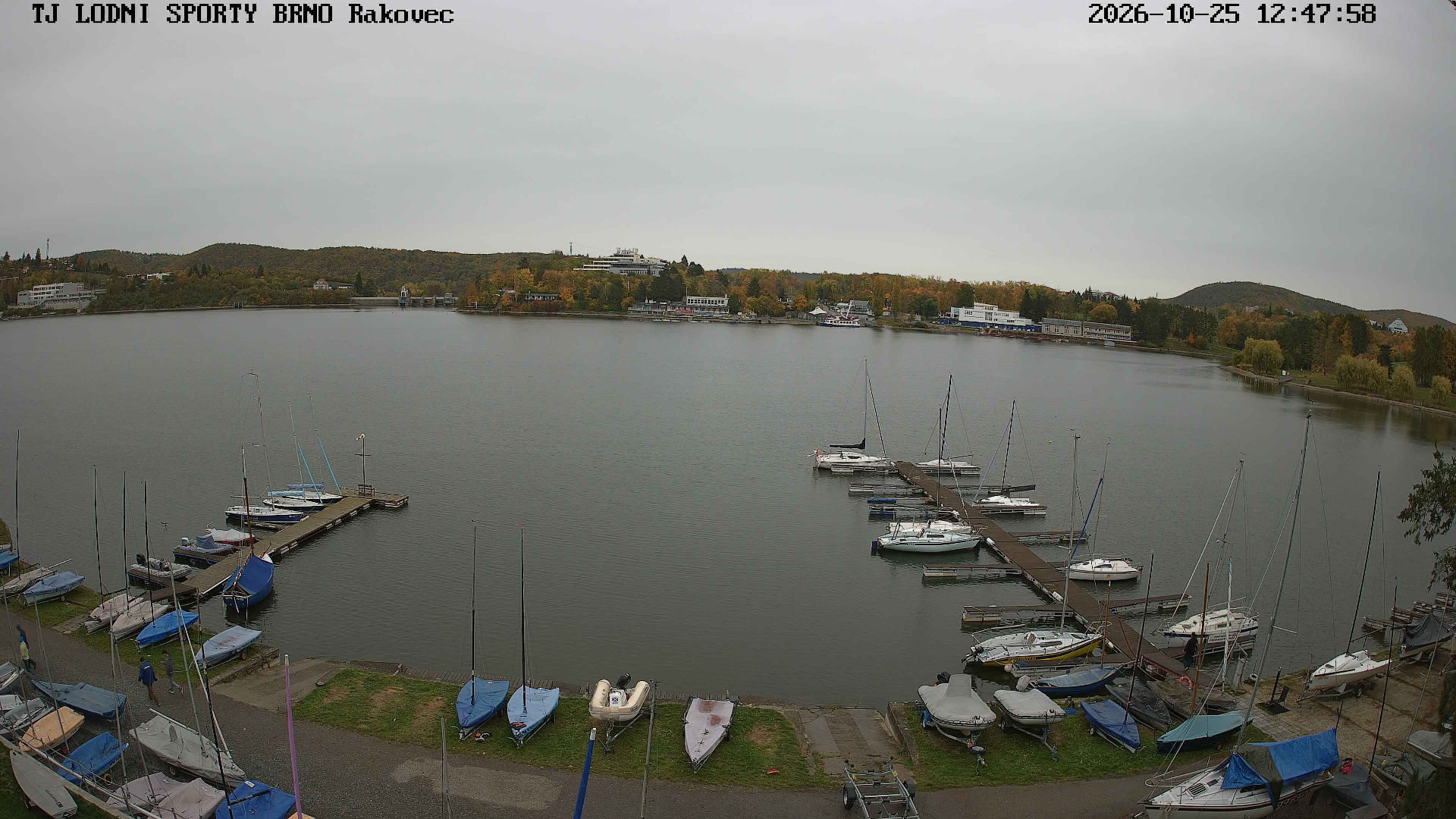 Panská horka - Webcams