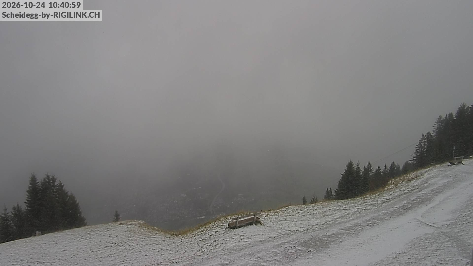 Rigi Scheidegg - Nach Steinen - Kamera web