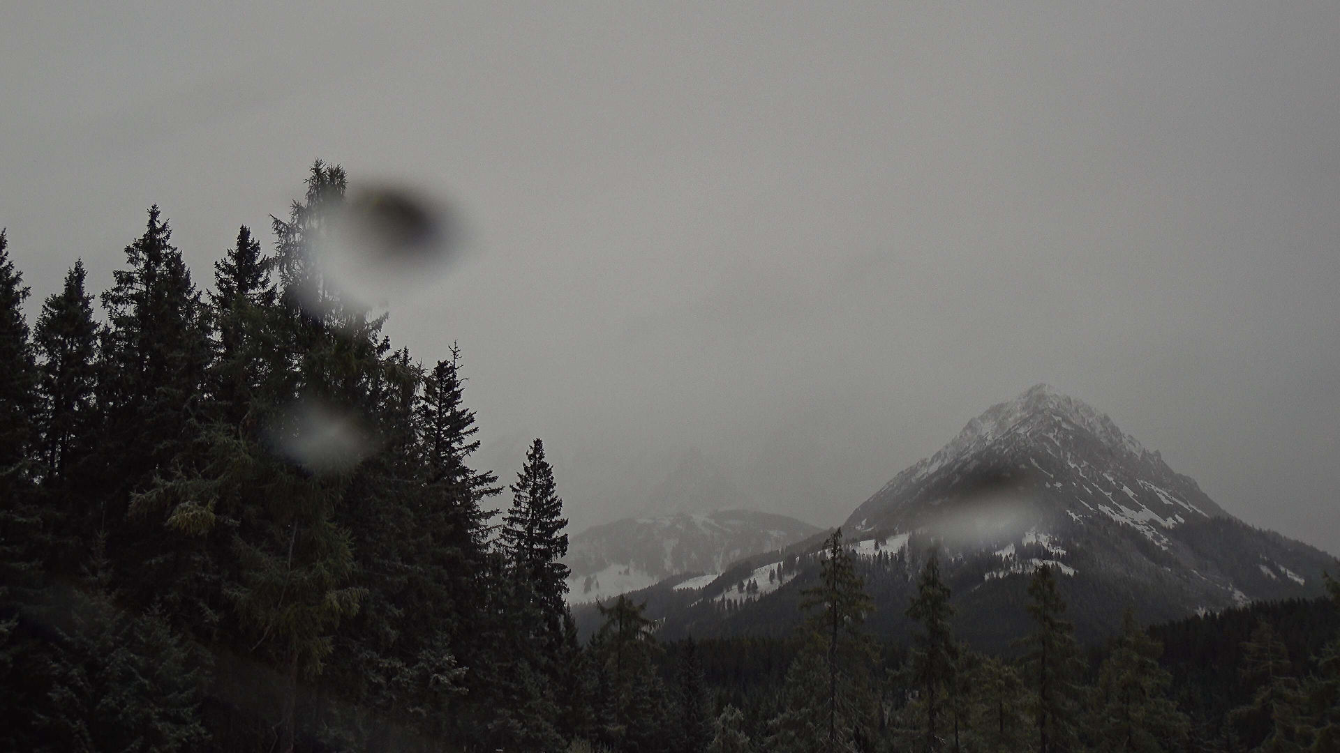 Mooslehen Berg - Webkameras