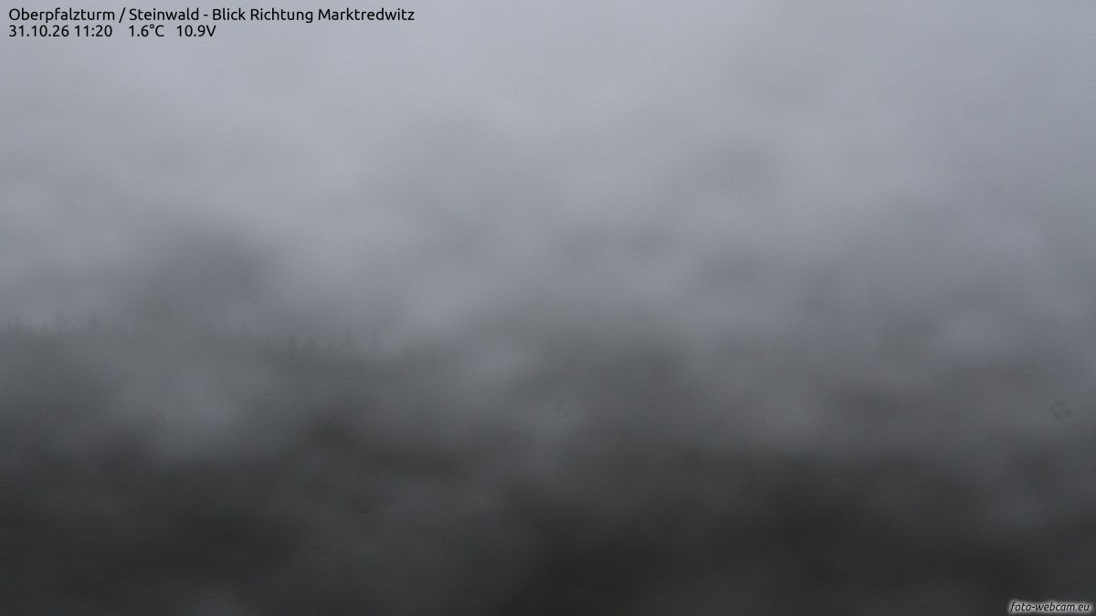 Oberpfalzturm / Steinwald - Blick Richtung Marktredwitz - Webcams