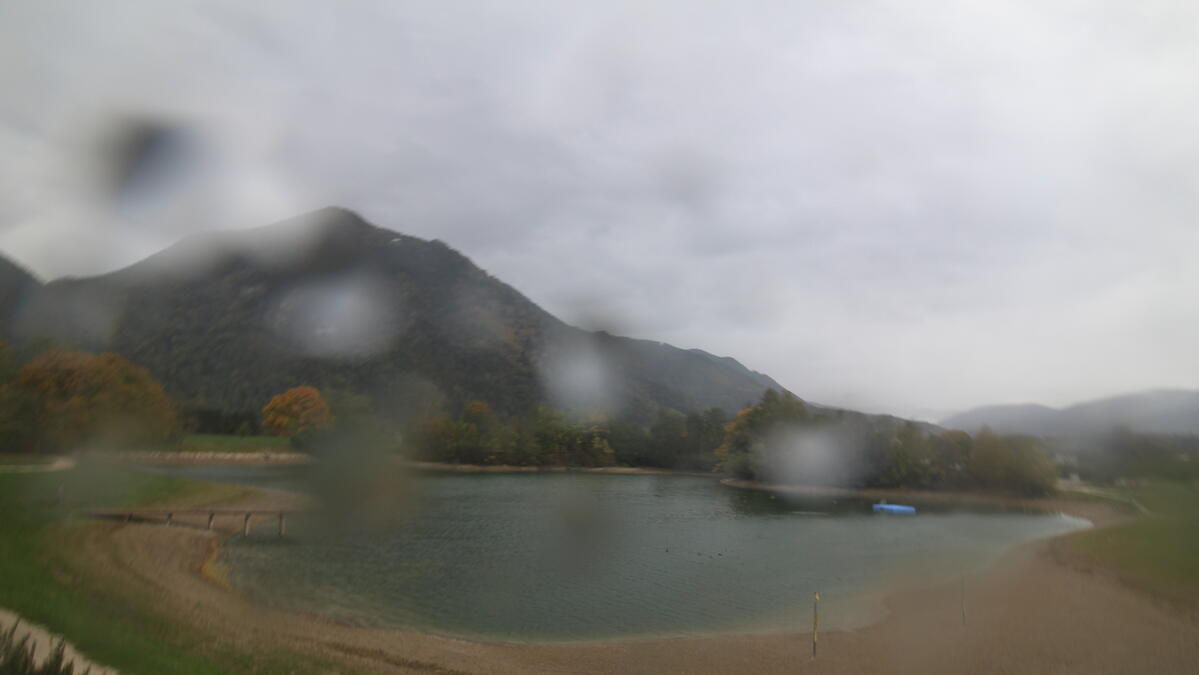 Grassau-Reifinger See - Webkameras