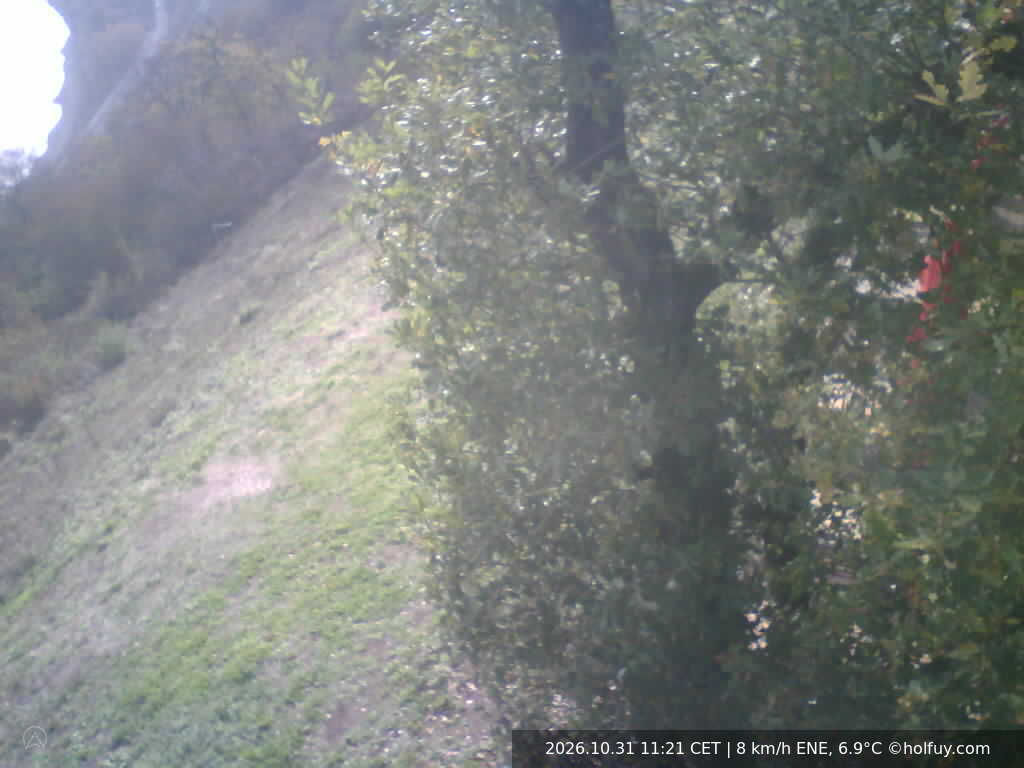 Boppard - nur RML - Webcams