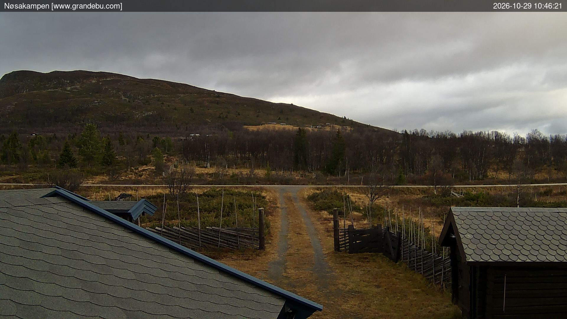 Nøsakampen - Webcams