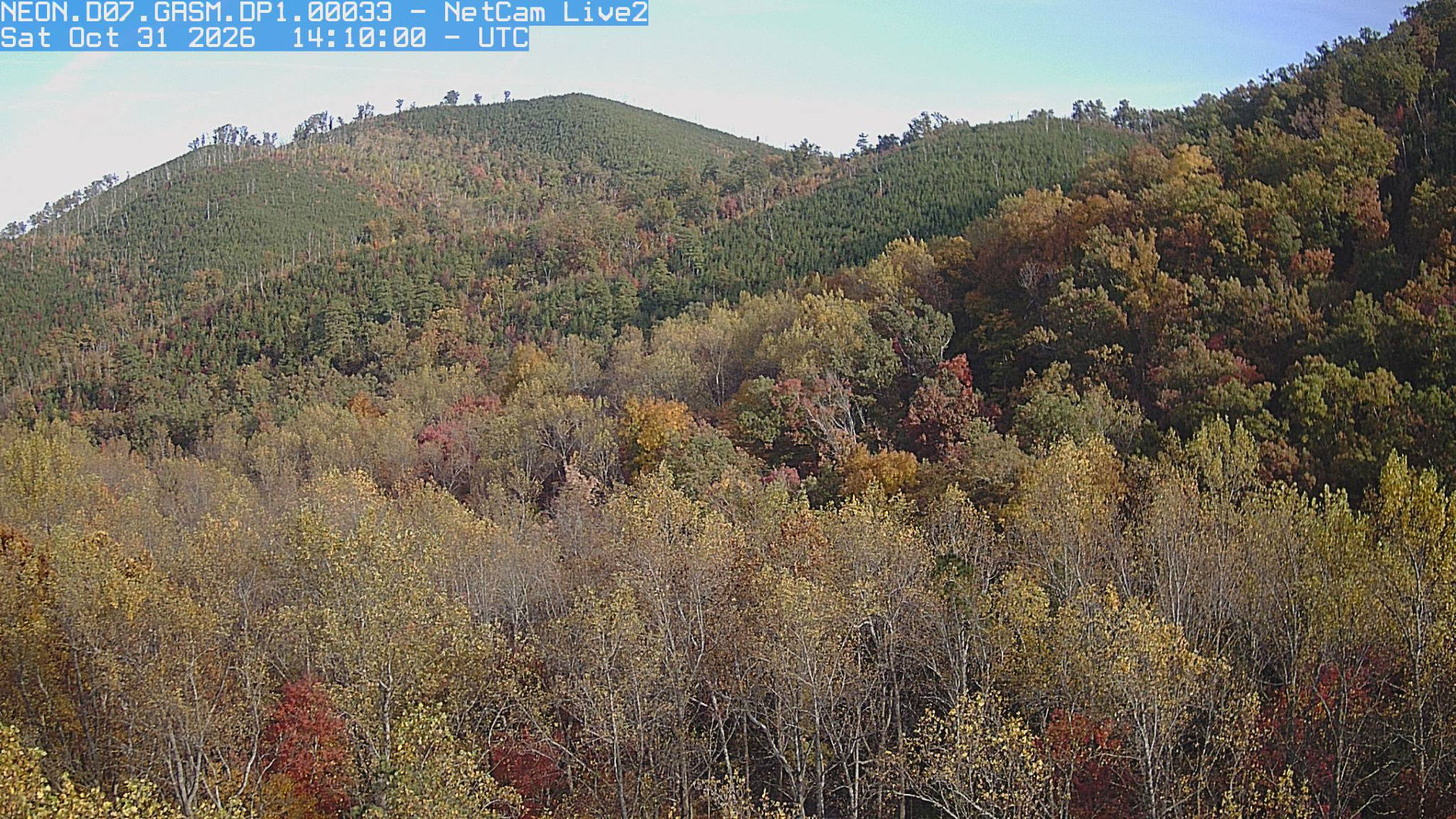 NEON Site - D07 (Appalachians and Cumberland Plateau) Great Smoky Mountains National Park, Tennessee - tower top - Webcams