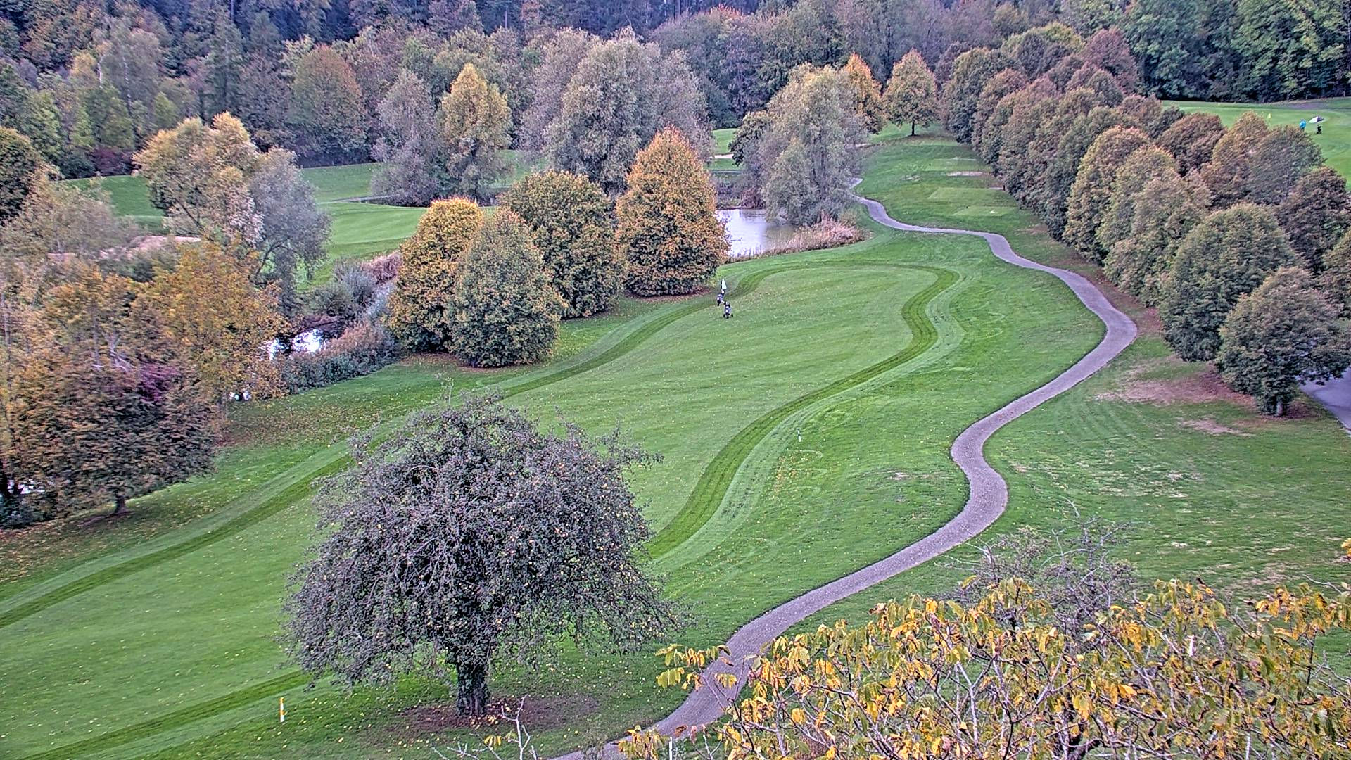 Golf Kyburg - Kemarin