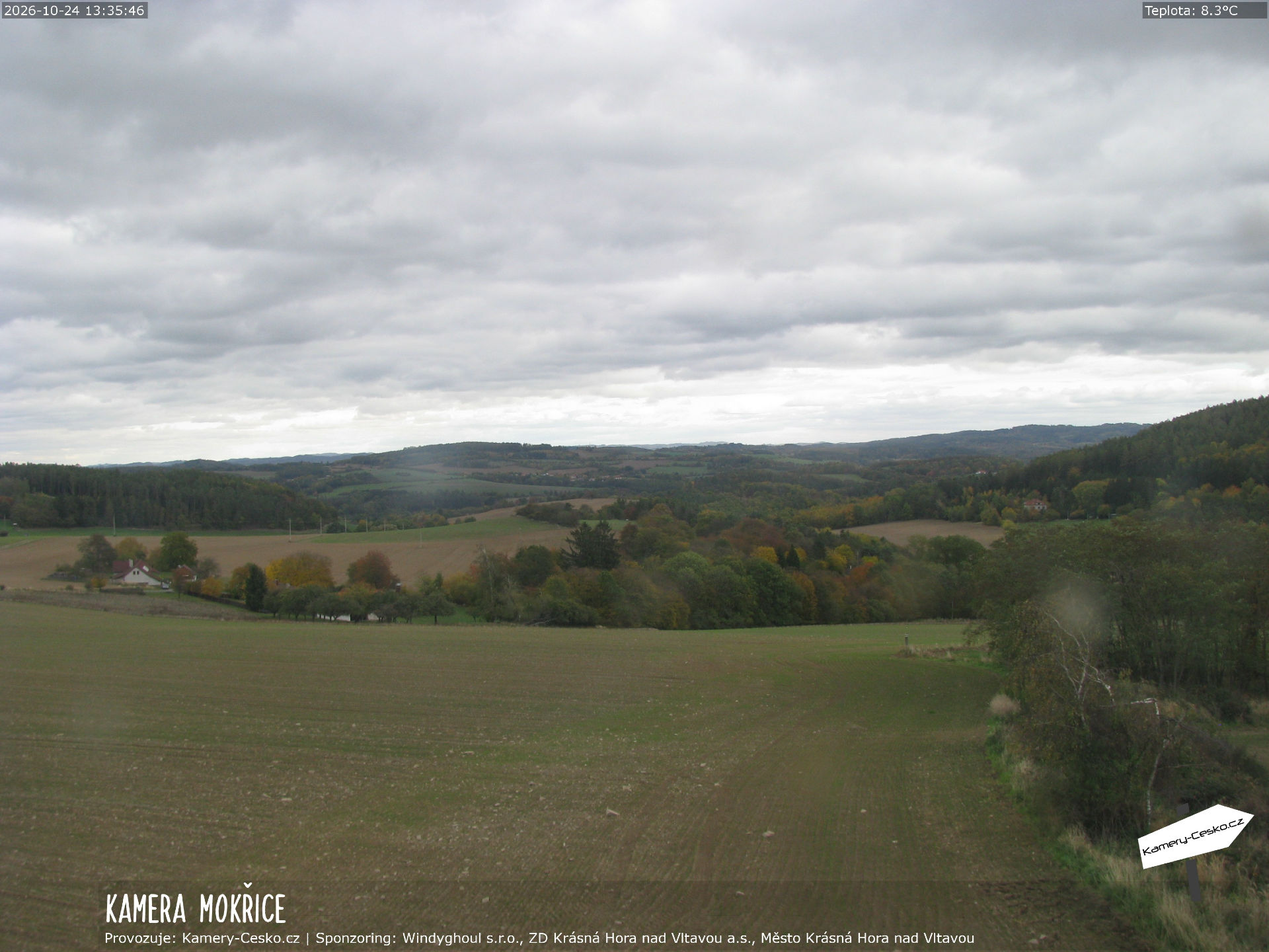 Mokřice - včera