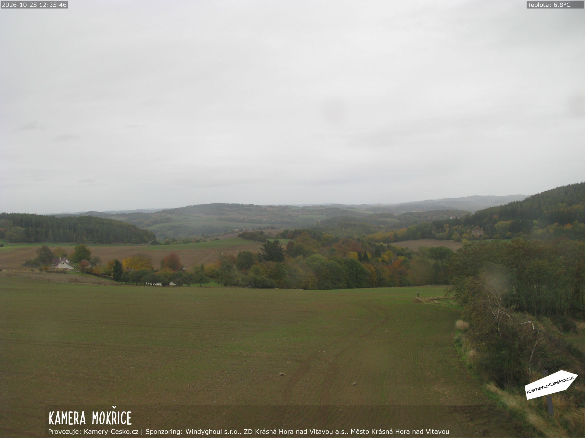 Mokřice