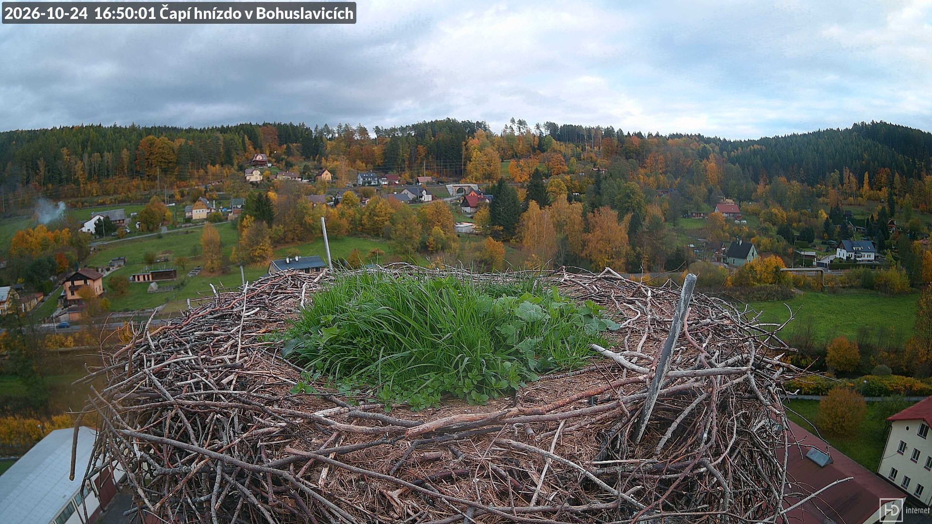 Čapí hnízdo v Bohuslavicích u Trutnova - Yesterday