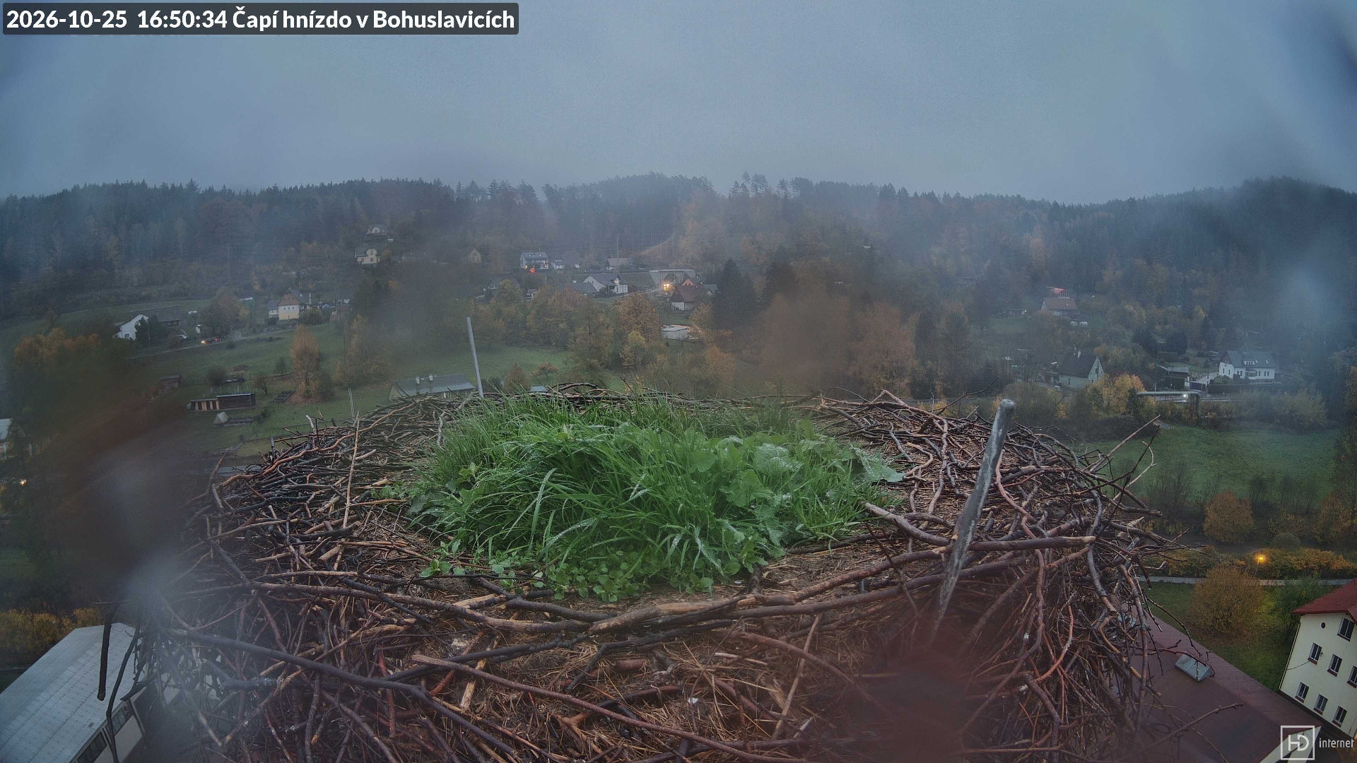 Čapí hnízdo v Bohuslavicích u Trutnova - Webcams